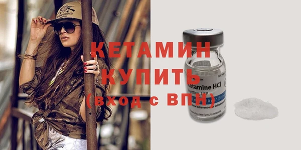 прущие крисы Новозыбков