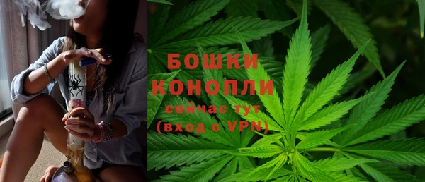 индика Новокубанск