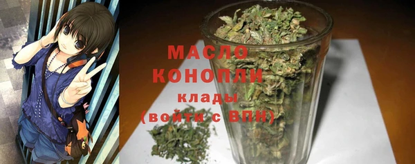 индика Новокубанск