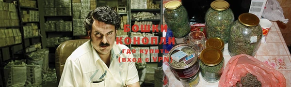 индика Новокубанск