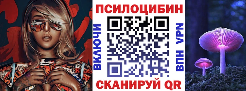 сколько стоит  Бирюсинск  Галлюциногенные грибы Psilocybe 
